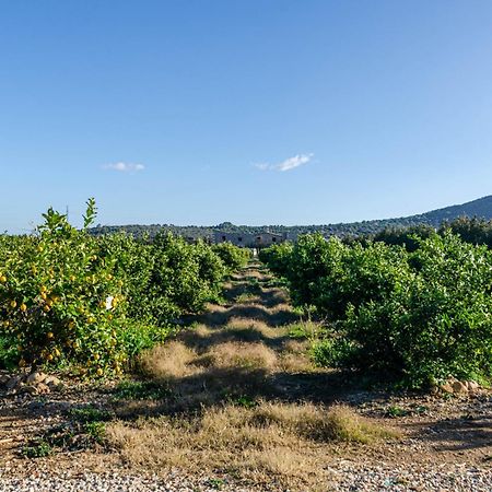 El Limonar De Mallorca - Agroturismo Ballerics Exterior foto